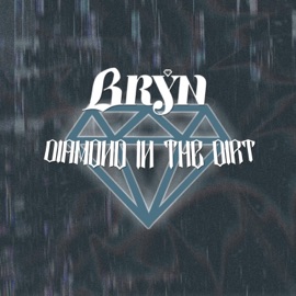 Diamond in the Dirt BRYN