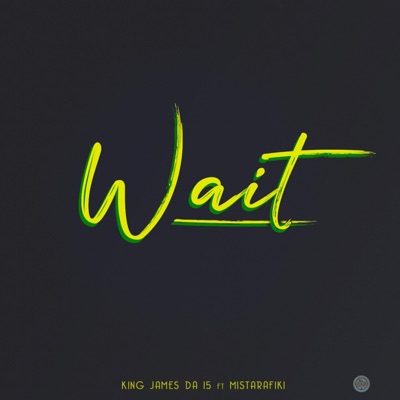 Wait (feat. Mistarafiki) - Single