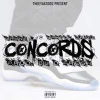 XI Concords (feat. Yakgod Drizz) - Single - Wayne Jay