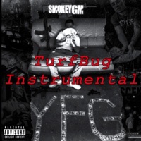 Turf Bug - Single - SinSlap