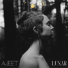 When She Rises (feat. Woven Kin) - Ajeet
