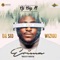 Erima (feat. Dr Sid & Wizkid) - DJ Big N lyrics