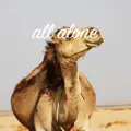 All Alone