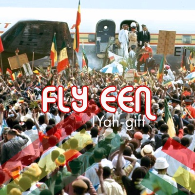Fly Een - Single