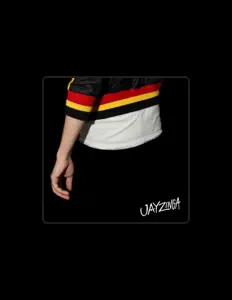 Jay Zingaを聴いたり、ミュージックビデオを鑑賞したり、経歴やツアー日程などを確認したりしましょう！