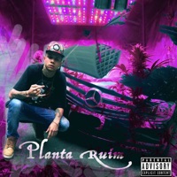 Planta Ruim - Single - Dielsin