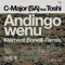 Andingowenu (feat. Toshi) - C-Major SA lyrics