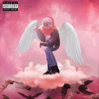 Patek Water - Single - Rip Wok