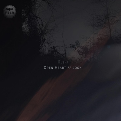 Open Heart / Look - Single