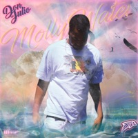 Molly Water - Single - Don Julio & Mitchell Dolphin