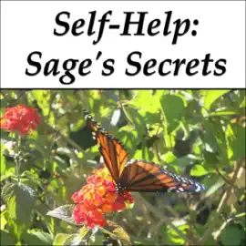 Self-Help: Sage's Secrets (Unabridged)
