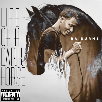 Life of a Dark Horse