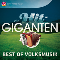 Verschiedene Interpreten - Die Hit Giganten Best Of Volksmusik artwork