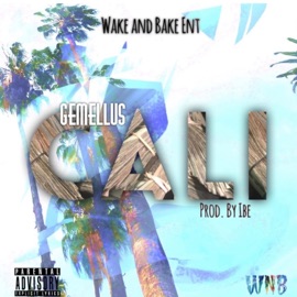 Cali Gemellus
