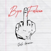 Bye Felicia artwork
