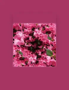 Ouça Guilty State of Mind, assista a videoclipes, leia a biografia, veja as datas das turnês e mais!