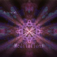 Bilateral Meditations - Destined Dynamics