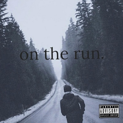 On the Run - Single