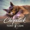 Chopstick - Tony Lion lyrics