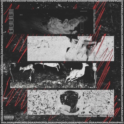 Holographic - Single