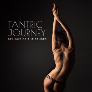 Tantric Journey - Delight of the Senses: 30 Tracks, Sensuous Atmosphere, Sacred Sexuality, Intimate Mood