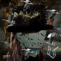 Birdz - Single - Ausem FF