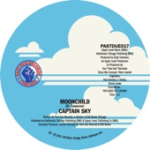 Moonchild (Peter Lewicki Disco Mix) artwork