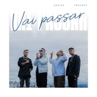 Vai Passar - Single - Insanou & Agriff