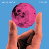 Say Yes Dog - My Soul