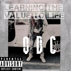 Learning the Value of Life QDC