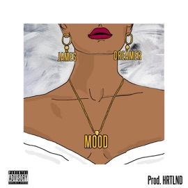 Mood (feat. JesseTheDreamer) Kaida James