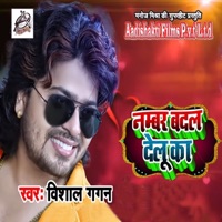 Number Badal Delu Ka - Single - Vishal Gagan