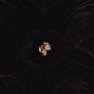 Level Head - Single