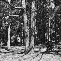 CantRockDsnr सुनें, म्यूज़िक वीडियो देखें, बायो पढ़ें, दौरे की तारीखें और बहुत कुछ देखें!