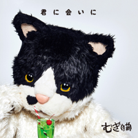 君に会いに-むぎ(猫)