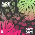 Say! Say!