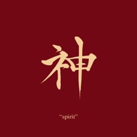 Spirit Airlines - Single - Savv