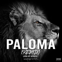 PALOMA (Remix) - Single - oatsfield & Lion Of Africa