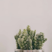 梦旅唯美自然治愈轻音乐 - EP - 乐野十里