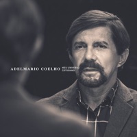 Meu Universo Cotidiano - Adelmário Coêlho