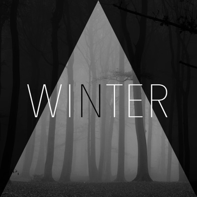 Winter (feat. Santafé, Ananda & Ruthless) - Single