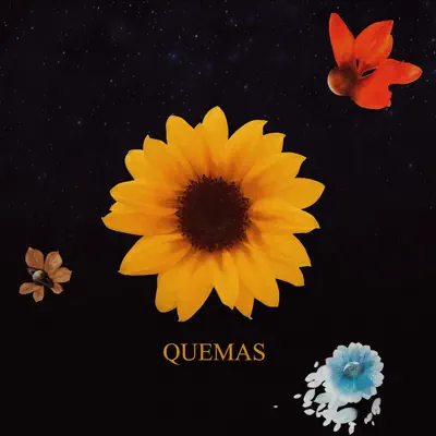 Quemas - Single - Los Colores