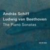 András Schiff - Piano Sonata No. 6 in F Major, Op. 10, No. 2: 2. Allegretto