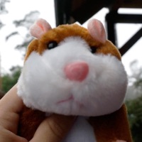 Chomik (Do Ciebie Dzwoni) [feat. Pikers] [Remix] - Single - Młody Bóg