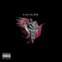 Nightbirds - Single - Eddie Kaine