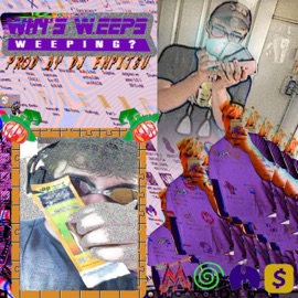 Discord Pt. 2 (feat. DJ Enpitsu) W.Eeps