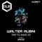 Chromaticity (Anicée Remix) - Walter Albini lyrics