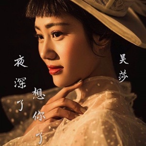 夜深了想你了 - Single