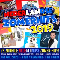 Dave Govers - De Zomer Die Lacht