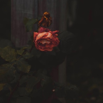 Missed Out - Single